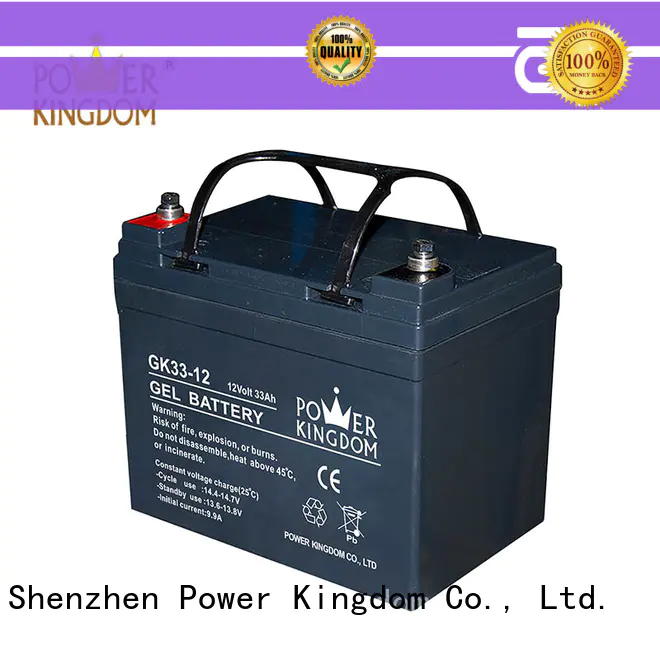 Power Kingdom comprehensive after-sales service agm vrla battery directly sale communication equipment