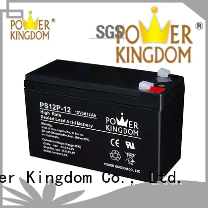 Power Kingdom high rate battery with good price UPS & EPS system