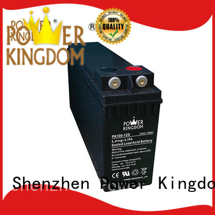 Power Kingdom front terminal battery factory price data center