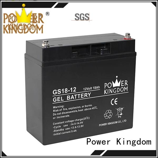 Power Kingdom good quality 12v gel battery electric toys