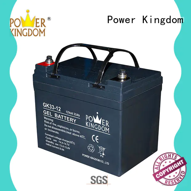 Power Kingdom gel battery factory price electric toys
