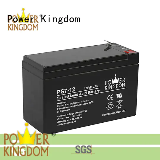 Power Kingdom fine manufacturing techniques sealed lead acid batteries promotion sightseeing cart