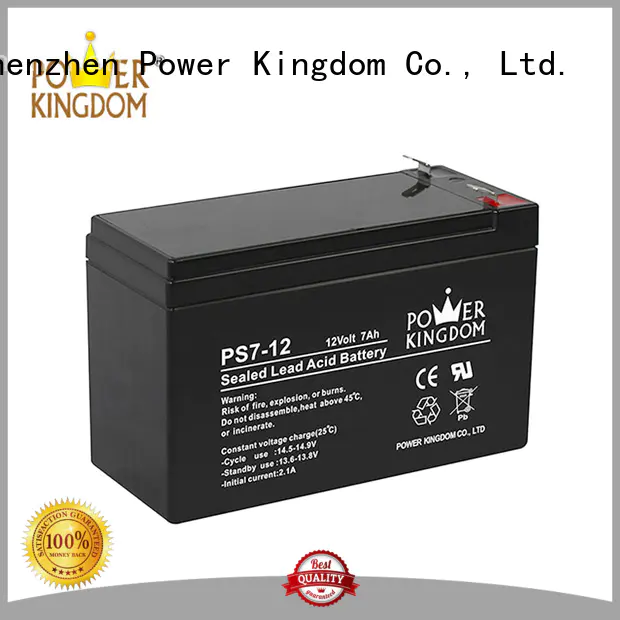 Power Kingdom advanced production technology ups battery china factory sightseeing cart