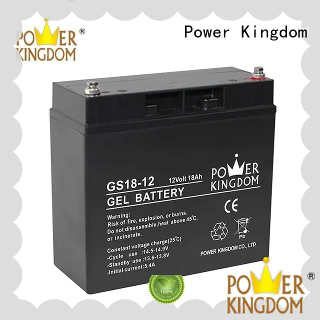Power Kingdom agm solar battery directly sale electric toys