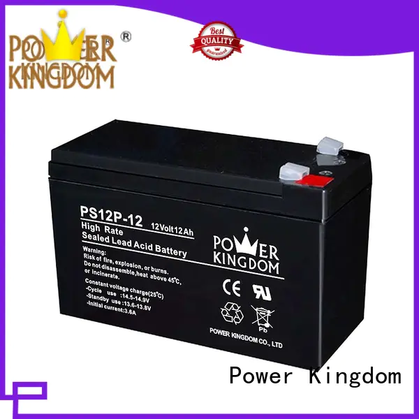 Power Kingdom lead acid battery discharge customization UPS & EPS system