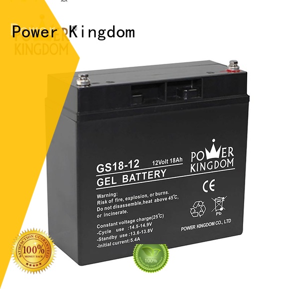 Power Kingdom fine workmanship vrla gel battery directly sale fire system