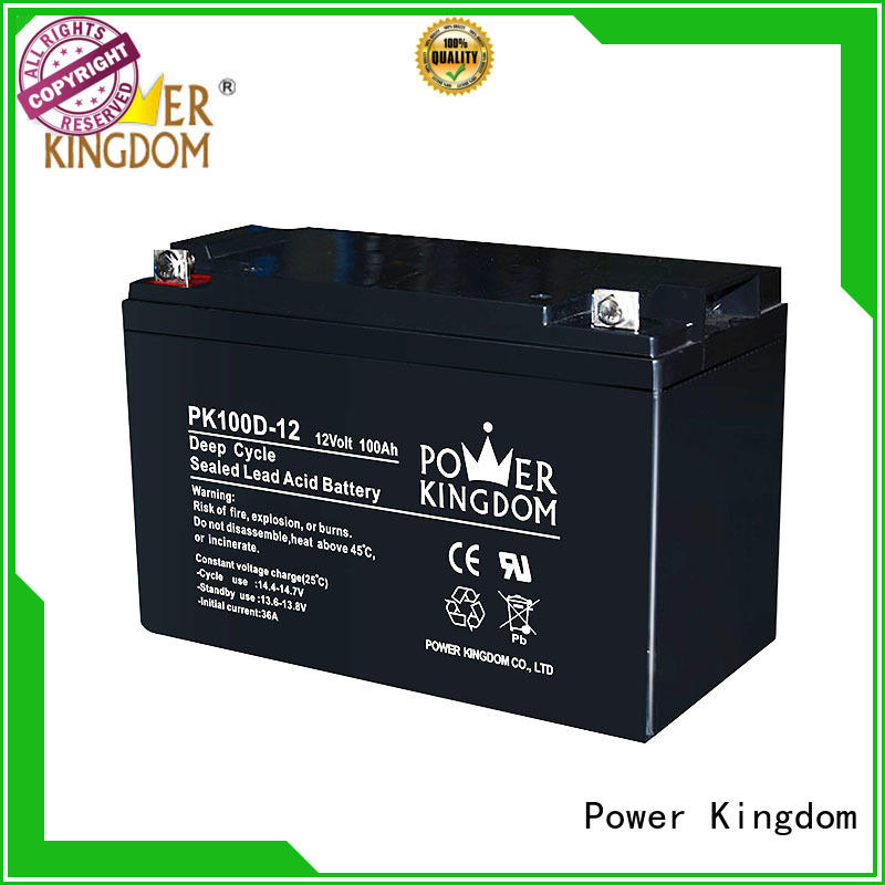 Power Kingdom cycle deep cycle lead acid battery personalized