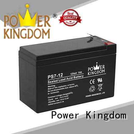 sealed lead acid batteries promotion sightseeing cart Power Kingdom