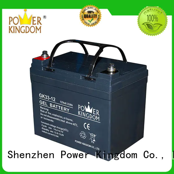Power Kingdom comprehensive after-sales service agm solar battery directly sale electric toys