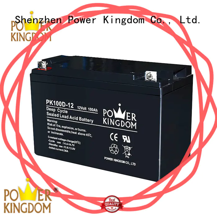 Power Kingdom deep deep cycle lead acid battery factory price vehile and power storage system