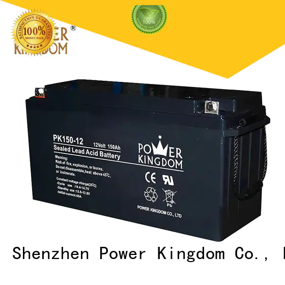 Power Kingdom long standby life rechargeable sealed lead acid battery design medical equipment