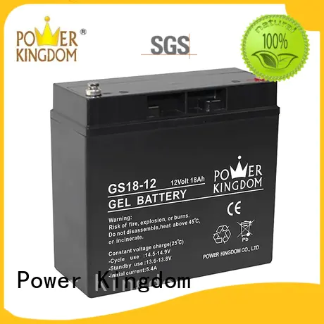 Power Kingdom good quality agm vrla battery factory price fire system