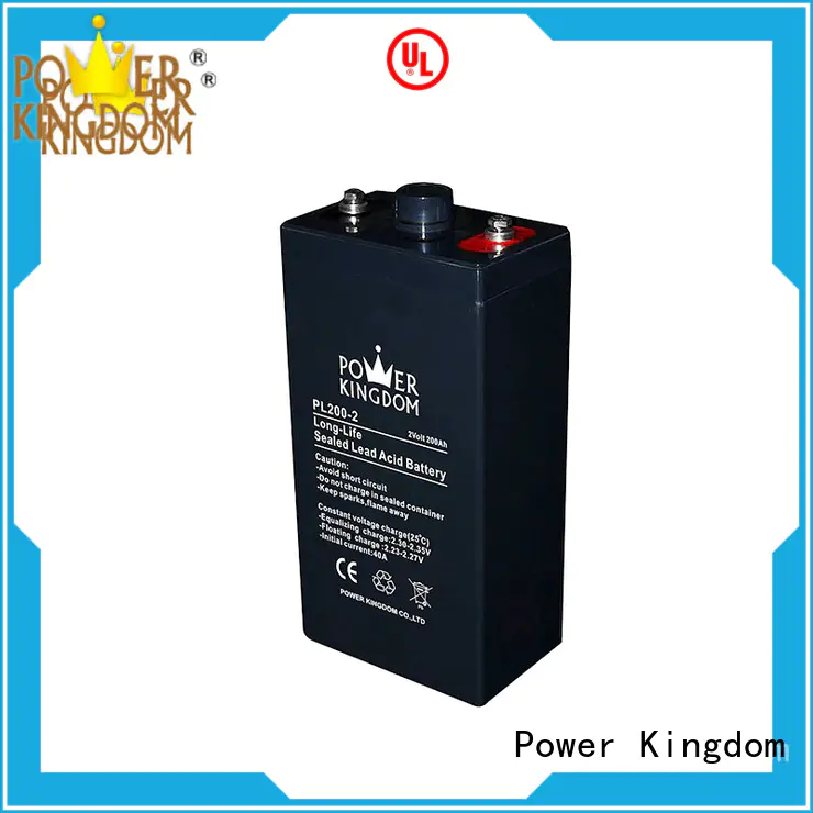 Power Kingdom Special additives 12v vrla battery design UPS & EPS system