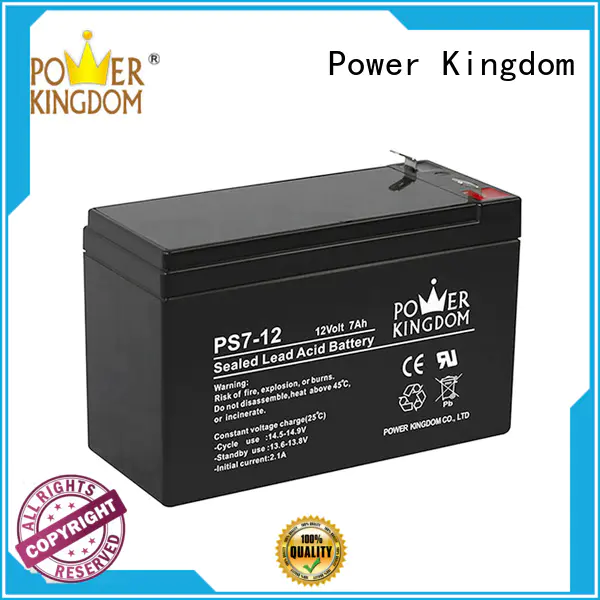 Advanced Production Technology Sealed Lead Acid Batteries China Factory Electric Forklift Power Kingdom