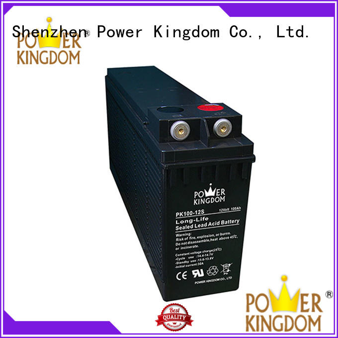 Power Kingdom compact ups battery backup supplier data center
