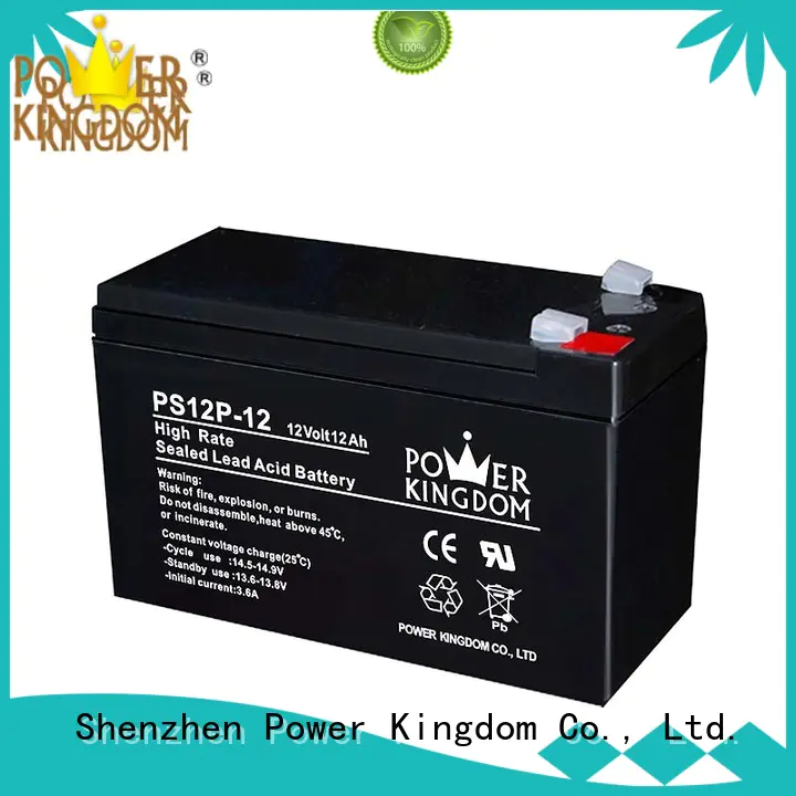 Power Kingdom ups high rate max battery from China Power tools