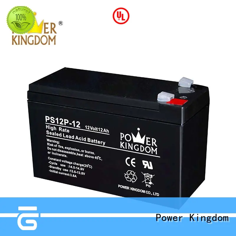 Power Kingdom high power discharge lead acid battery self discharge factory price Power tools