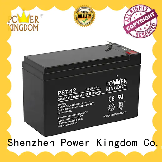 Power Kingdom fine manufacturing techniques ups battery replacement on sale electric forklift