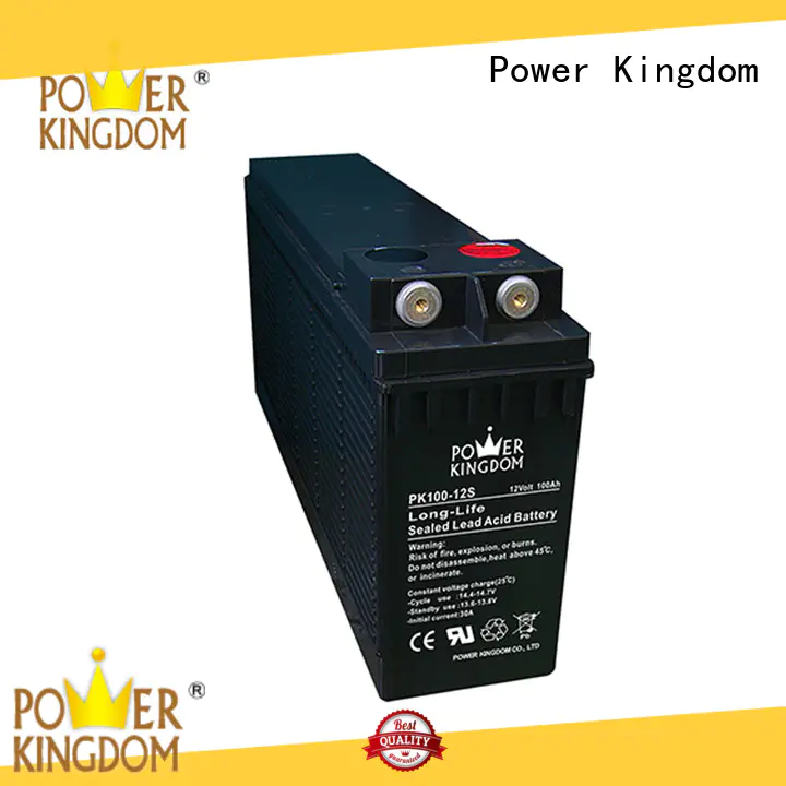 Power Kingdom Front terminal design 12v 100ah battery personalized power tools