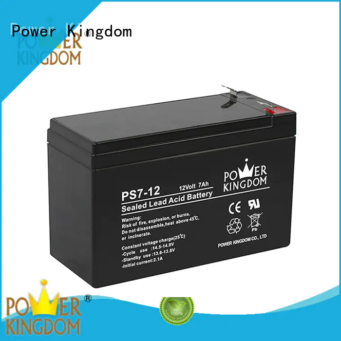Power Kingdom computer ups battery promotion electric forklift