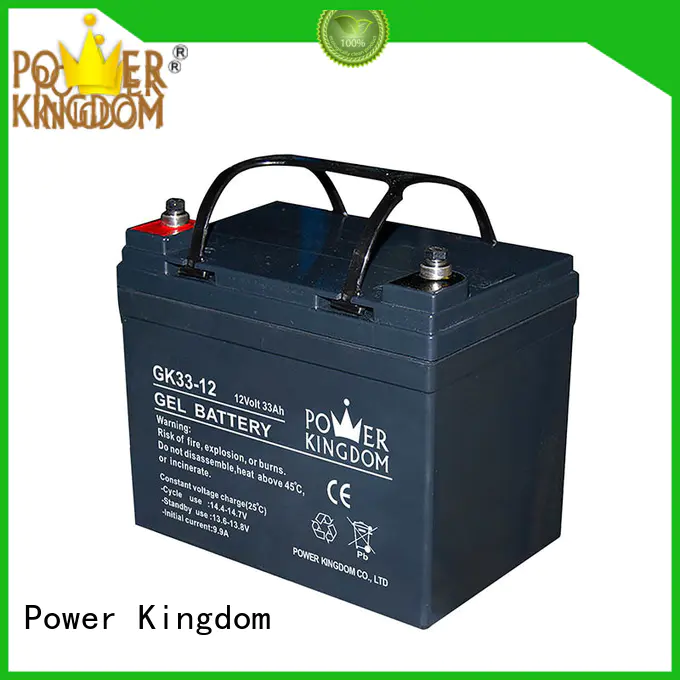 Power Kingdom agm vrla battery directly sale fire system