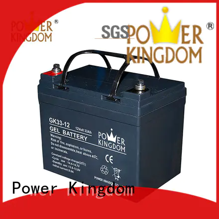 lead acid gel battery electric toys Power Kingdom
