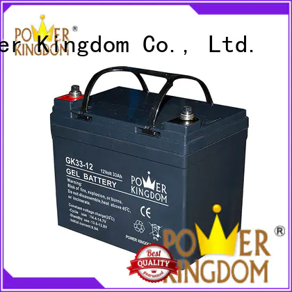 Power Kingdom fine workmanship sealed gel battery 12v electric toys