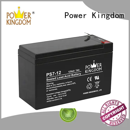 Power Kingdom sealed lead acid batteries china factory electric forklift