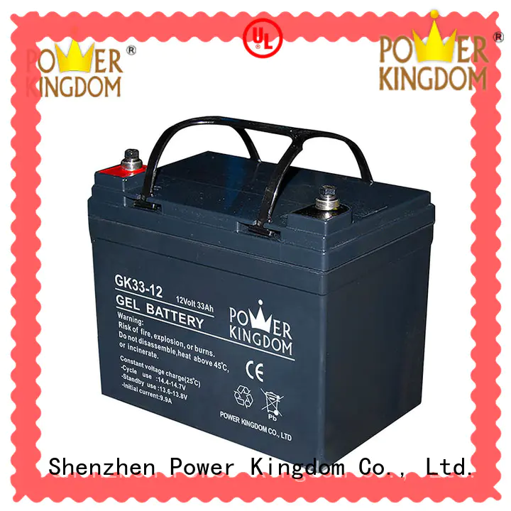 Power Kingdom agm vrla battery factory price fire system
