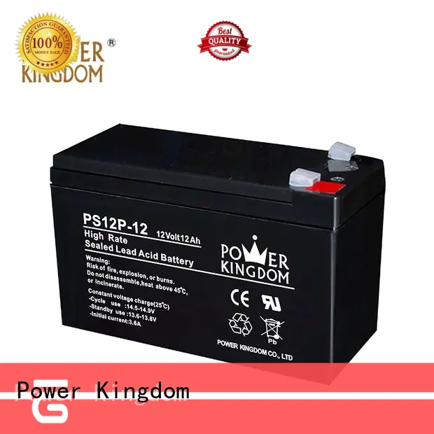Power Kingdom lead acid battery self discharge from China