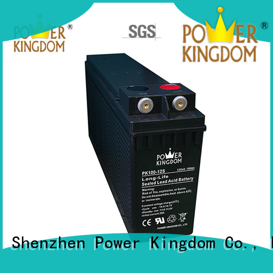 Power Kingdom ups power supply battery factory price data center