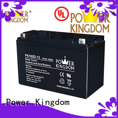12v deep cycle battery personalized deep discharge device Power Kingdom