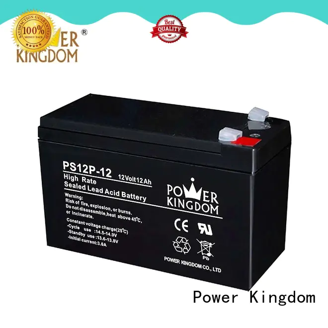 Power Kingdom high rate battery with good price