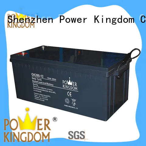 Power Kingdom stable performance 12v agm deep cycle battery China manufacturer Automatic door system