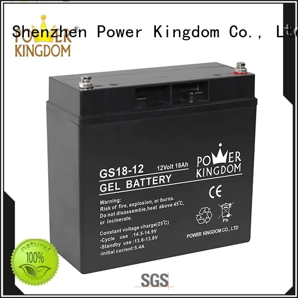 Power Kingdom comprehensive after-sales service 100ah agm battery factory price electric toys
