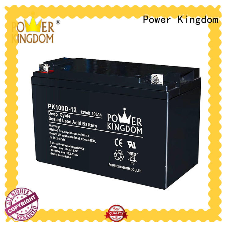 Power Kingdom deep cycle lead acid battery factory price deep discharge device