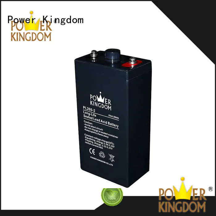 Power Kingdom vrla lead acid battery with good price Power tools