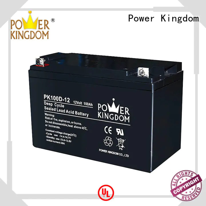 Power Kingdom 100ah deep cycle battery factory price vehile and power storage system