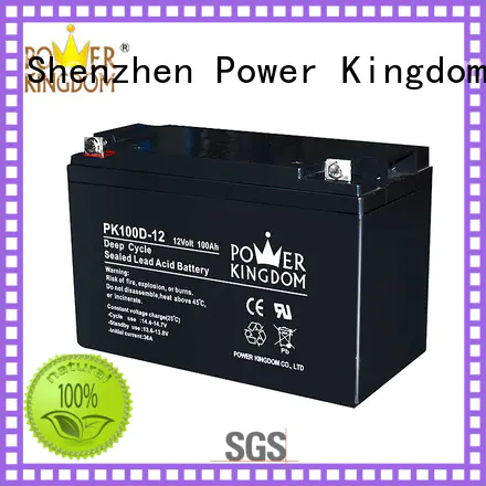 Power Kingdom Heat sealed design 6 volt deep cycle battery supplier deep discharge device