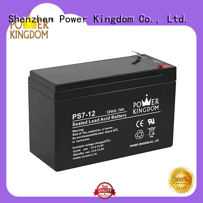 Power Kingdom ups vrla battery on sale sightseeing cart