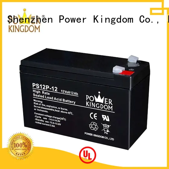 Power Kingdom lead acid battery discharge directly sale UPS & EPS system