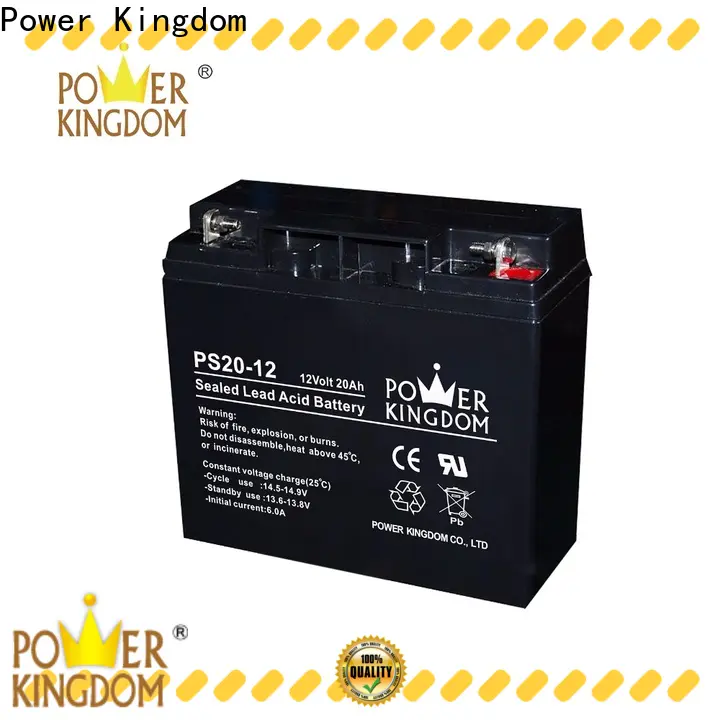 Power Kingdom Heat sealed design 100ah deep cycle battery factory price deep discharge device