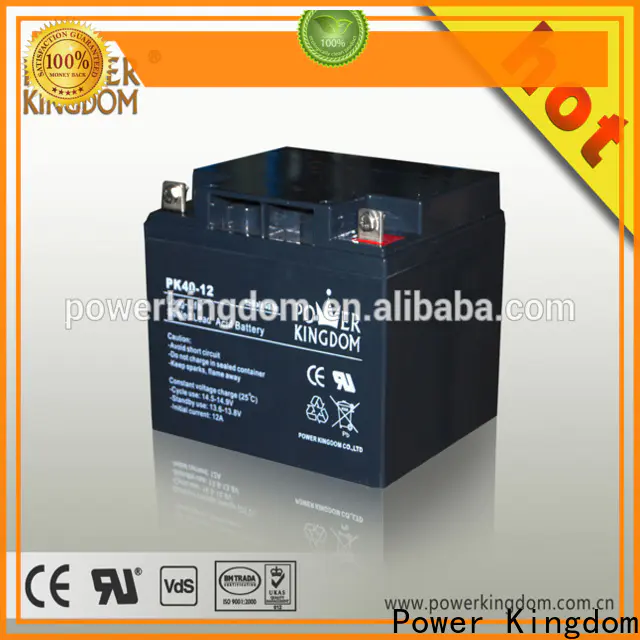 Power Kingdom Heat sealed design 12v deep cycle battery supplier deep discharge device