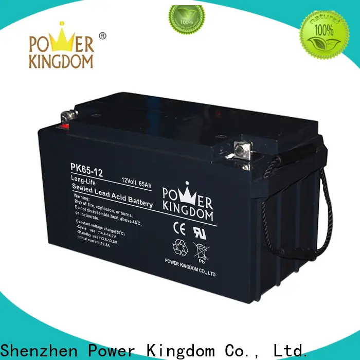 Power Kingdom agm gel cell battery wholesale wind power systems