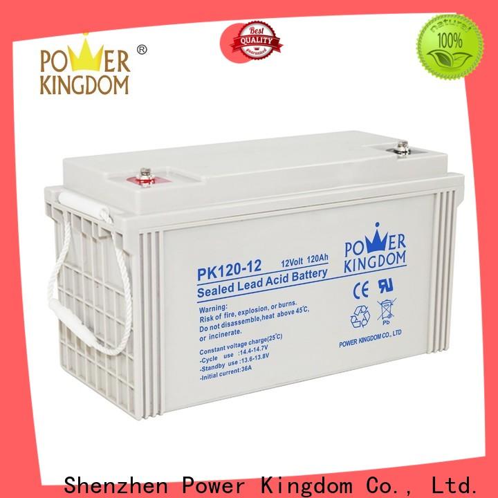 Power Kingdom agm deep cell battery customization
