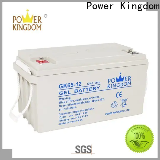Power Kingdom High-quality 12v agm factory Power tools