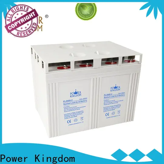 Power Kingdom Best agm car battery life expectancy for business