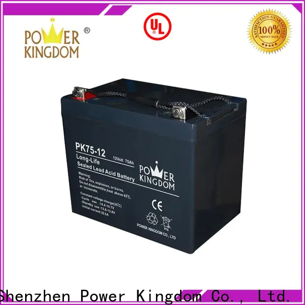 Power Kingdom best gel battery Supply Automatic door system