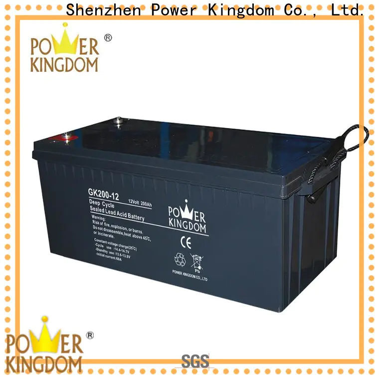 Power Kingdom gel golf cart batteries factory Automatic door system