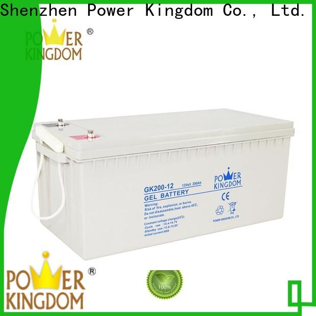 Power Kingdom group 49 agm battery factory price Power tools